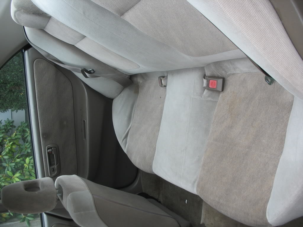 Name:  tegbackseat.jpg
Views: 14
Size:  103.6 KB