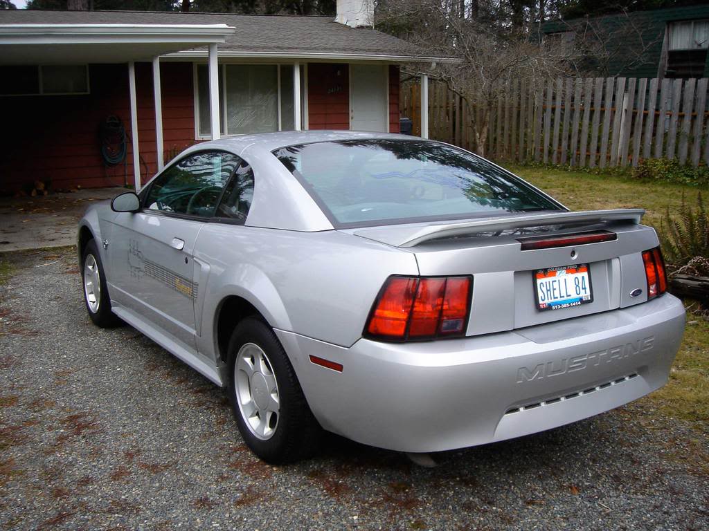 Name: mustang-rear-driver.jpg
Views: 27
Size: 125.8 KB