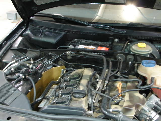 Name:  Picture1879.jpg
Views: 39
Size:  68.8 KB
