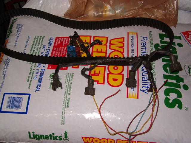 Name: HPIM0772-1.jpg
Views: 17
Size: 71.5 KB