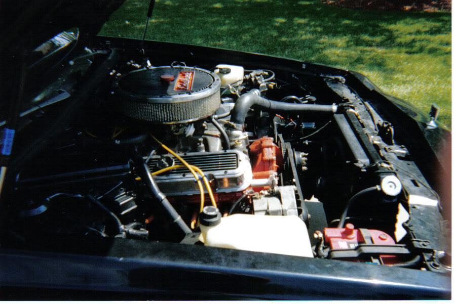Name: BuickEngineBay2.jpg
Views: 154
Size: 100.1 KB
