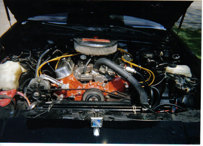 Name: BuickEngineBay.jpg
Views: 182
Size: 92.4 KB