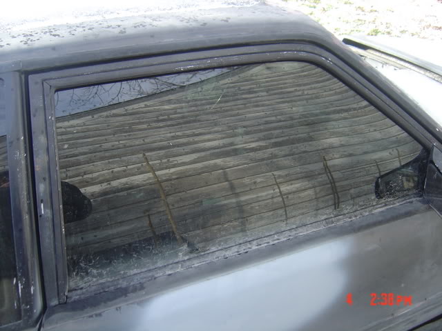 Name: stang003.jpg
Views: 23
Size: 53.9 KB
