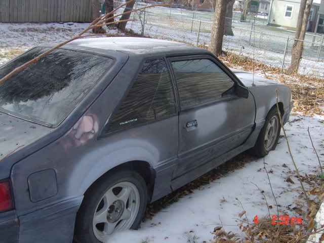 Name: stang002.jpg
Views: 24
Size: 73.4 KB