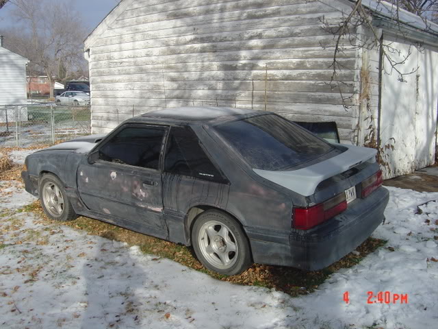 Name: stang001.jpg
Views: 25
Size: 79.6 KB
