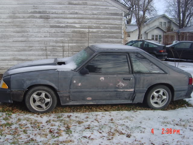 Name: stang006.jpg
Views: 25
Size: 79.5 KB
