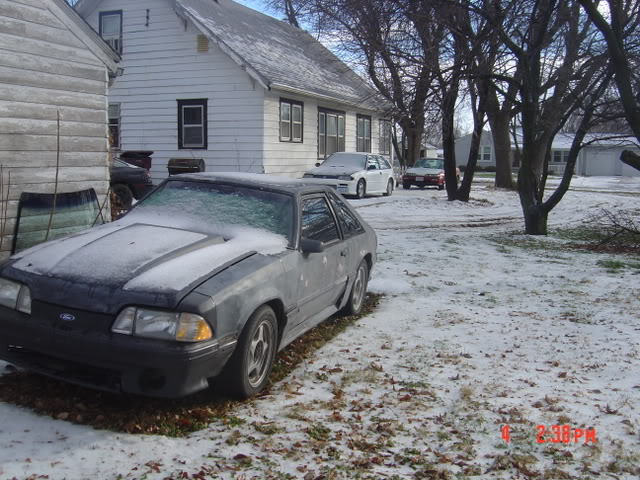 Name: stang005.jpg
Views: 25
Size: 94.5 KB