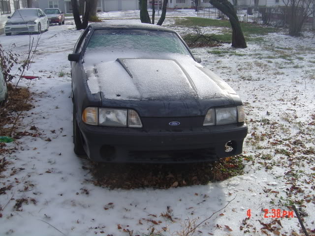 Name: stang004.jpg
Views: 24
Size: 81.9 KB