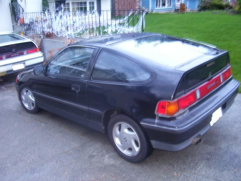 Name:  blackcrx2.jpg
Views: 18
Size:  65.8 KB