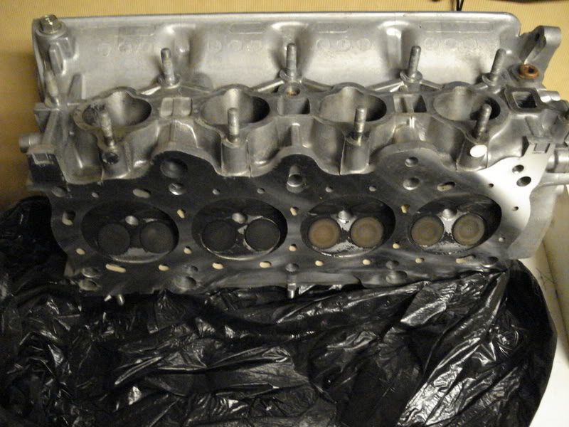 Name:  b16head003.jpg
Views: 22
Size:  94.3 KB