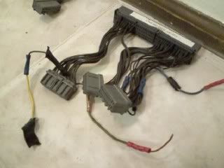 Name:  harness.jpg
Views: 17
Size:  12.4 KB