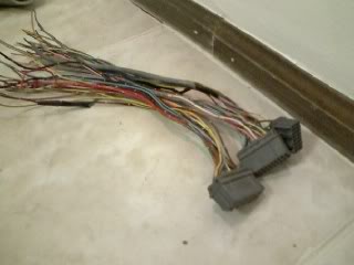 Name:  ecuplugs.jpg
Views: 18
Size:  11.0 KB