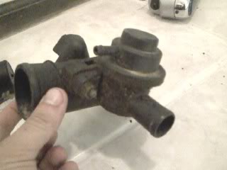 Name:  bov2.jpg
Views: 18
Size:  10.3 KB