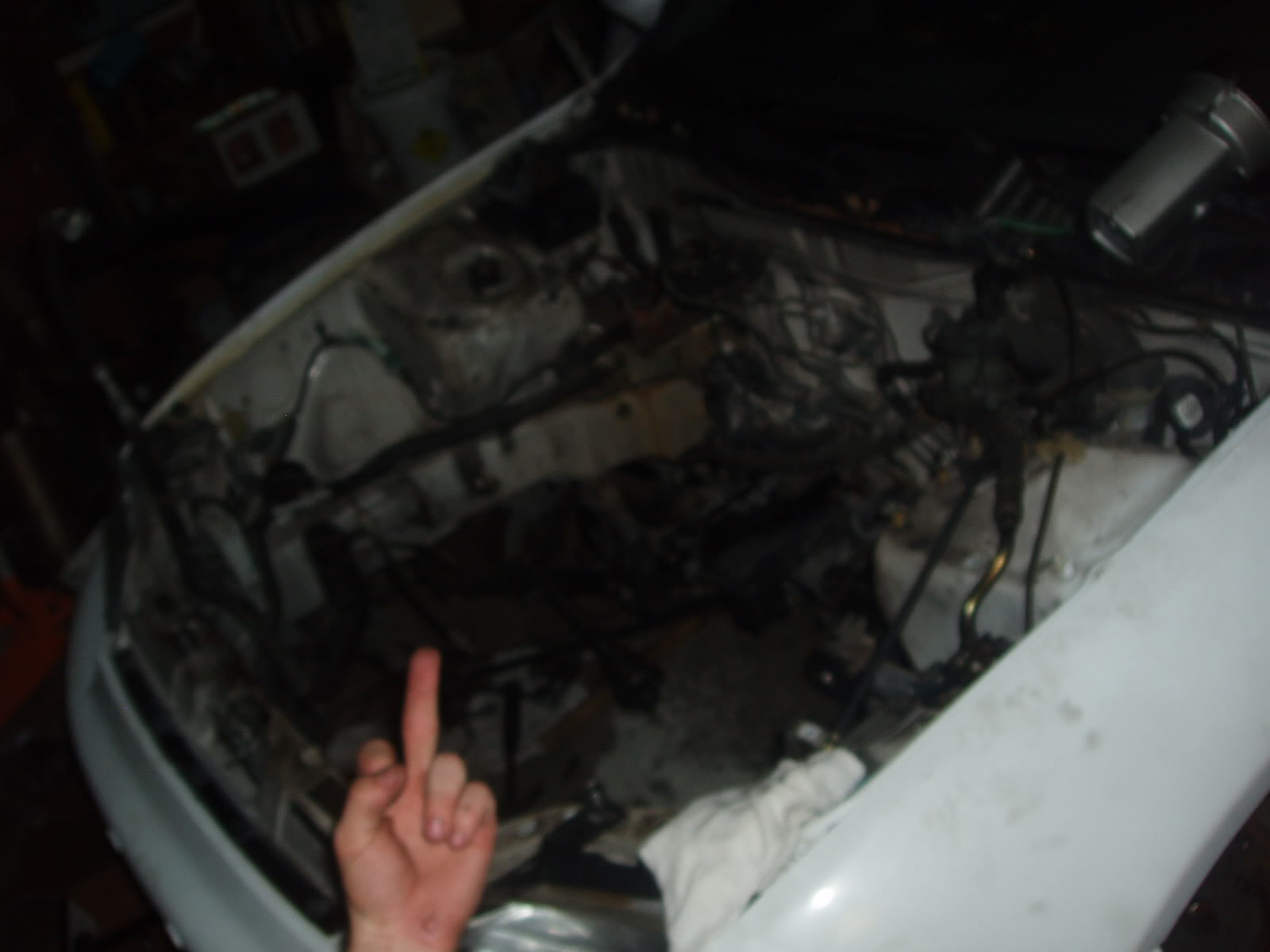 Name:  P7130113.jpg
Views: 36
Size:  90.3 KB