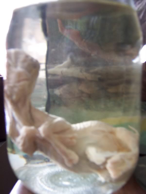 Name: 100_1996.jpg
Views: 58
Size: 32.7 KB