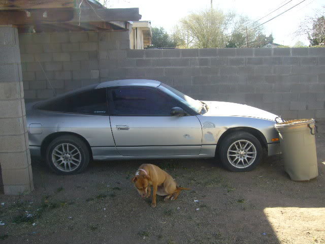 Name:  P1000272.jpg
Views: 16
Size:  55.7 KB