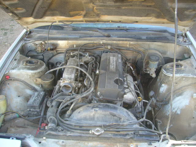 Name:  P1000215.jpg
Views: 17
Size:  66.0 KB