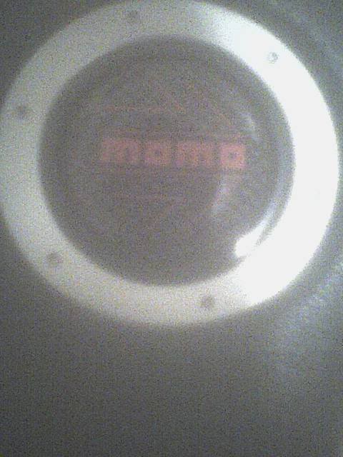 Name:  MOMOHORN.jpg
Views: 45
Size:  39.4 KB