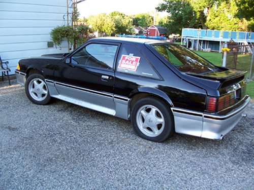 Name: mustang5.jpg
Views: 18
Size: 247.6 KB