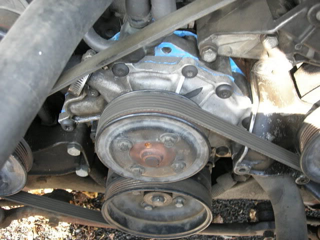 Name:  digitalcamerapictures238.jpg
Views: 12
Size:  57.2 KB