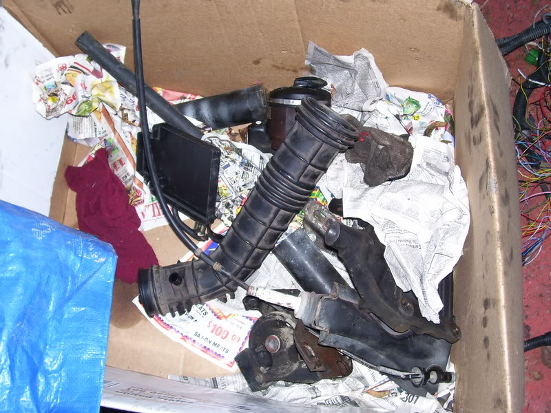 Name:  100_0313.jpg
Views: 22
Size:  120.2 KB