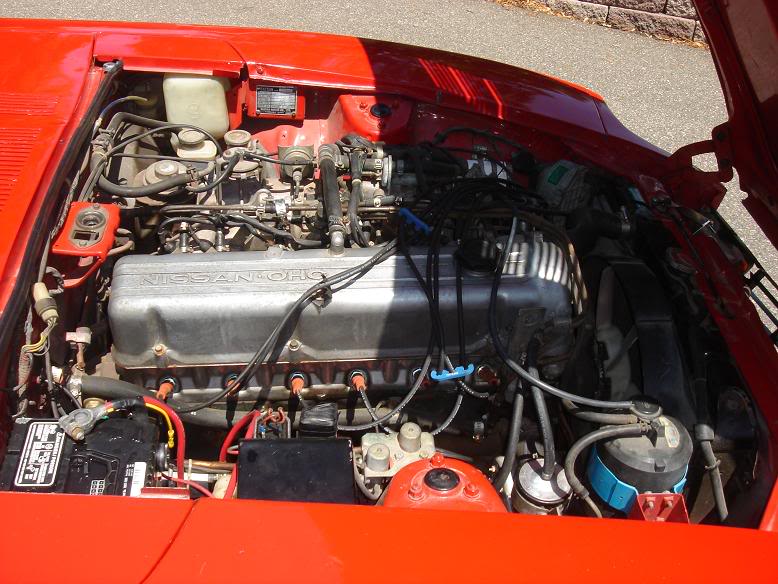 Name:  red3.jpg
Views: 342
Size:  91.0 KB