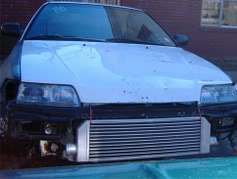 Name: rexfront.jpg
Views: 18
Size: 9.1 KB