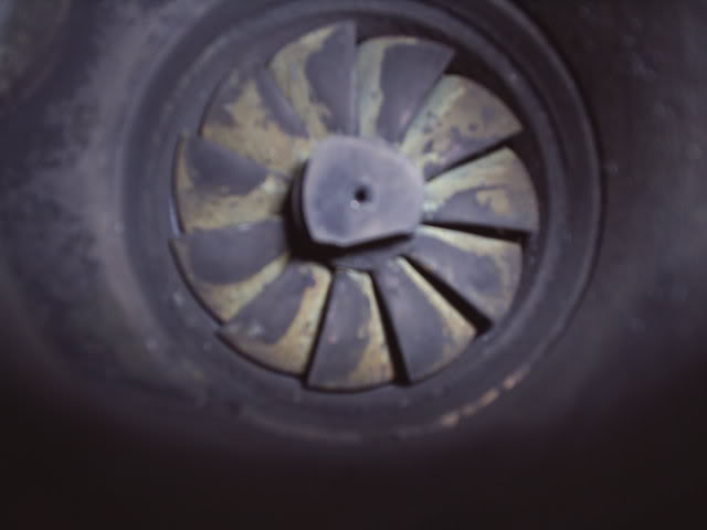 Name:  S4010004.jpg
Views: 13
Size:  19.1 KB
