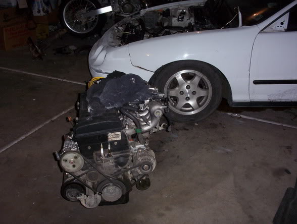 Name:  000_1154.jpg
Views: 18
Size:  43.2 KB