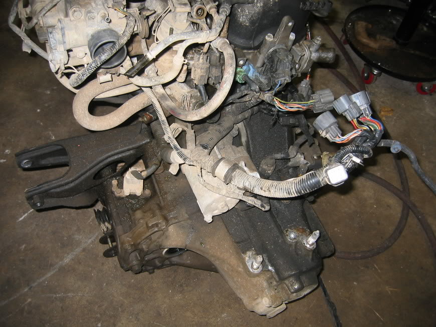 Name: k20build005.jpg
Views: 364
Size: 123.5 KB
