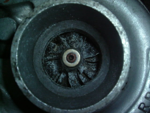 Name: DSCF5468.jpg
Views: 22
Size: 38.0 KB