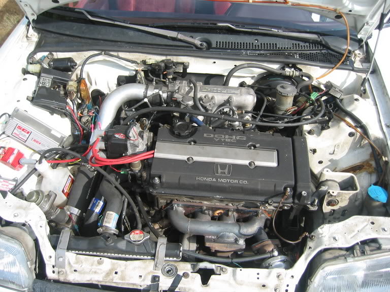 Name:  civic008.jpg
Views: 24
Size:  118.2 KB