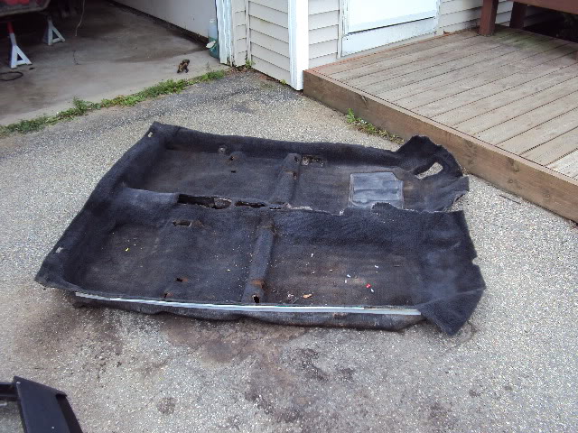 Name: zcarpet.jpg
Views: 18
Size: 113.4 KB