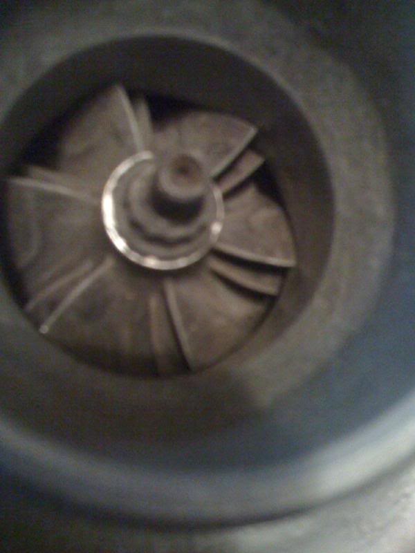 Name: myturbobuild005.jpg
Views: 37
Size: 39.5 KB