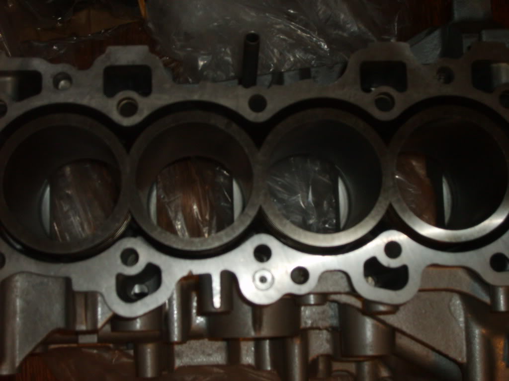 Name:  S5000610.jpg
Views: 154
Size:  105.7 KB