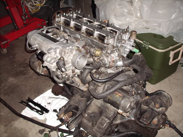Name: b17b16partout979017.jpg
Views: 36
Size: 71.8 KB