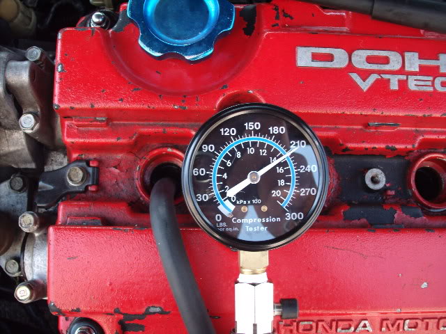 Name:  b17b16partout979005.jpg
Views: 50
Size:  75.1 KB